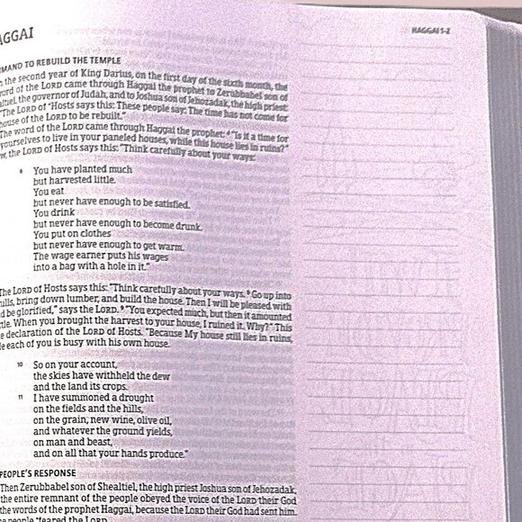 Illustrator's Notetaking (Coloring) Bible (HCSB) British Tan Leather Touch ~ NEW - Picture 11 of 13